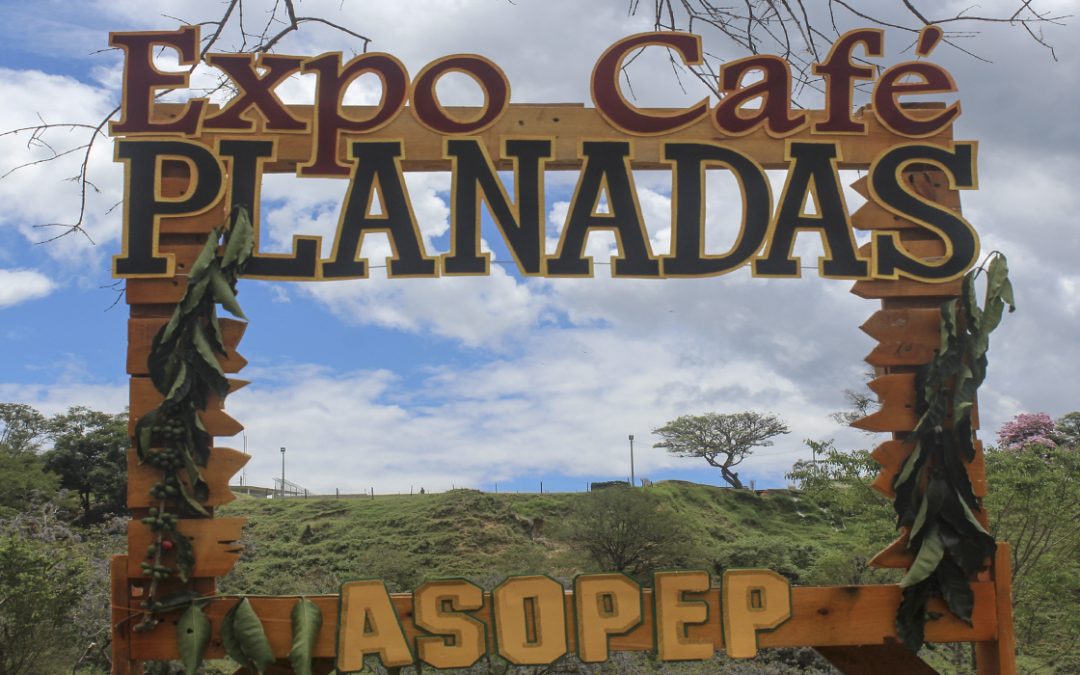 Explonadas: La Caficultura como recurso de construcción de Paz, Reintegración y Reparación